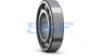 6202 SKF