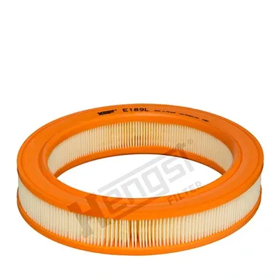 Filtro de ar E189L Hengst