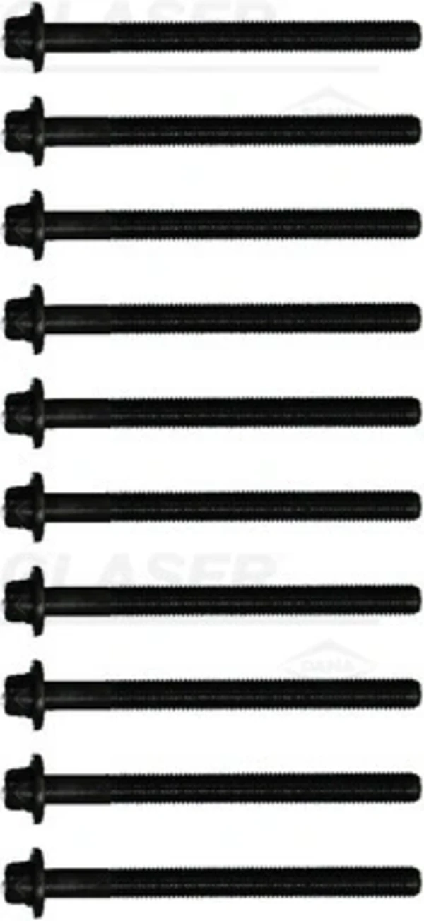 T8036300 Glaser