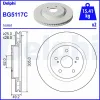 Disco do freio dianteiro BG5117C Delphi