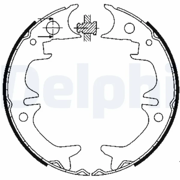 LS1901 Delphi