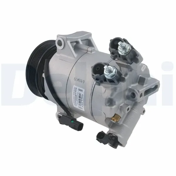 CS20576 Delphi