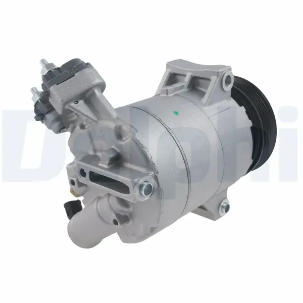 CS20576 Delphi