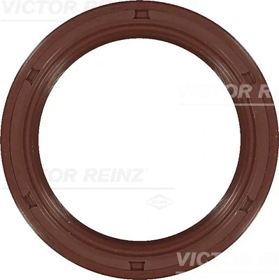 813363200 Victor Reinz