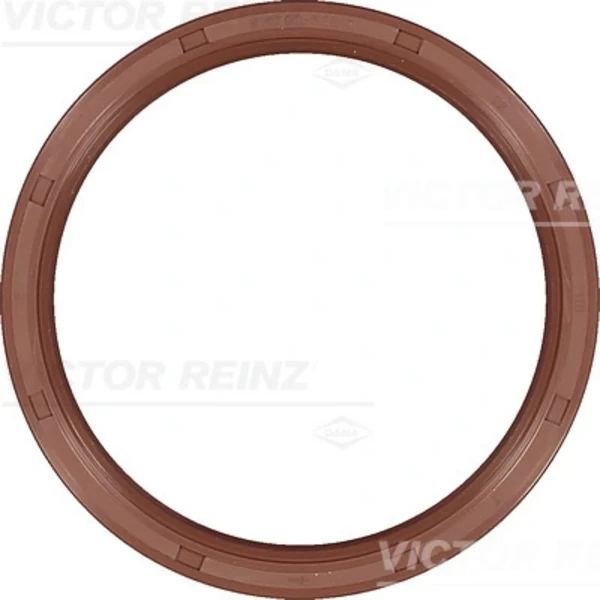 812558310 Victor Reinz