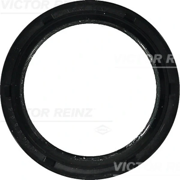 813551900 Victor Reinz