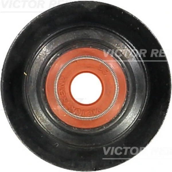 703344700 Victor Reinz