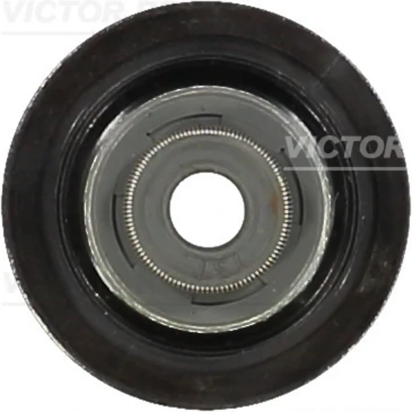 701012200 Victor Reinz