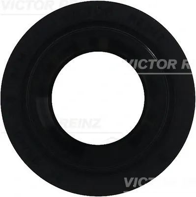 Vedante anular da cavidade de vela 714053700 Victor Reinz