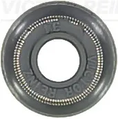704061600 Victor Reinz