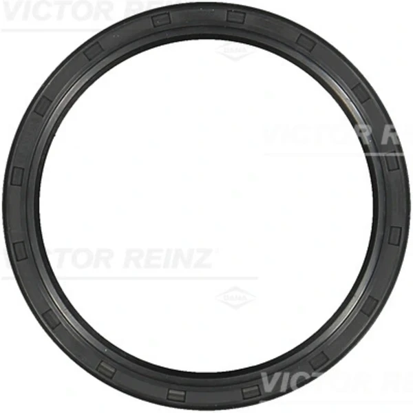 811059500 Victor Reinz