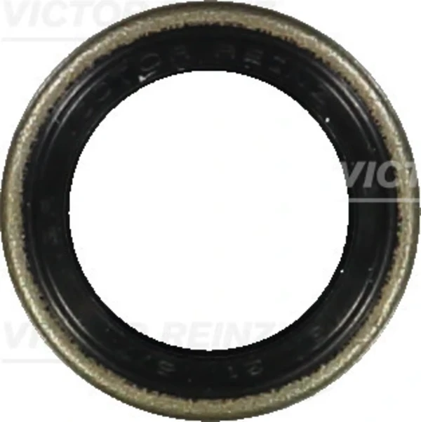 81-24010-00 Victor Reinz bucim de ligação de mudança