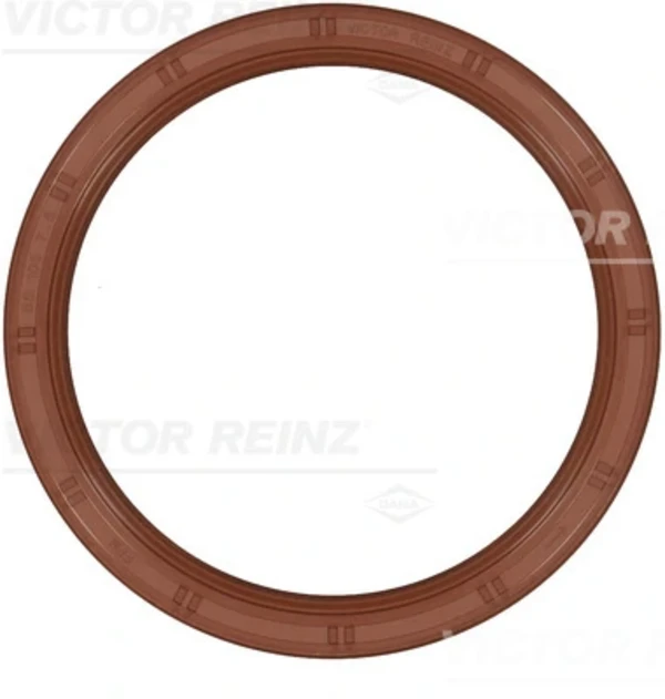 811038700 Victor Reinz