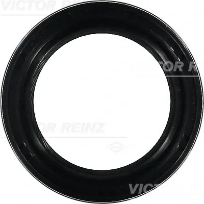 815323900 Victor Reinz