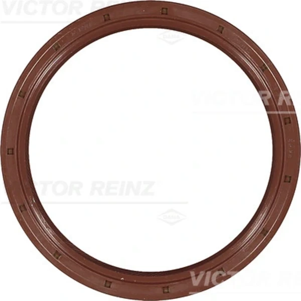 812300120 Victor Reinz