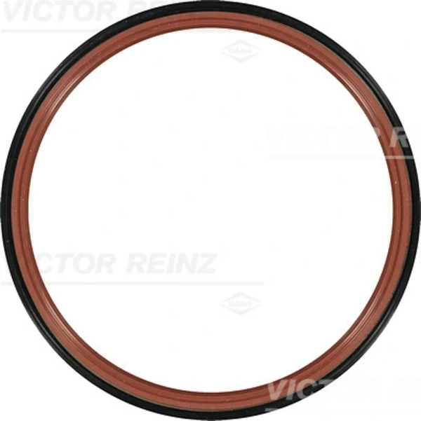 813363300 Victor Reinz
