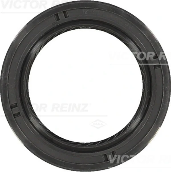 815345900 Victor Reinz