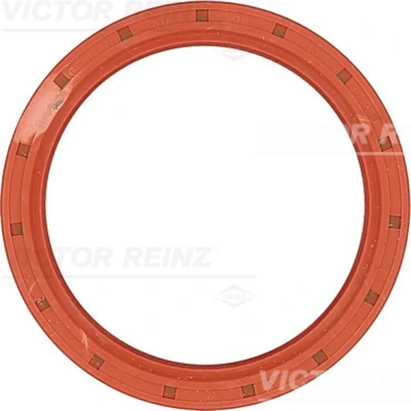 811830400 Victor Reinz