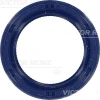 815325100 Victor Reinz