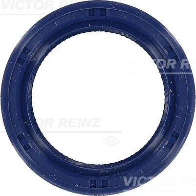 815325100 Victor Reinz