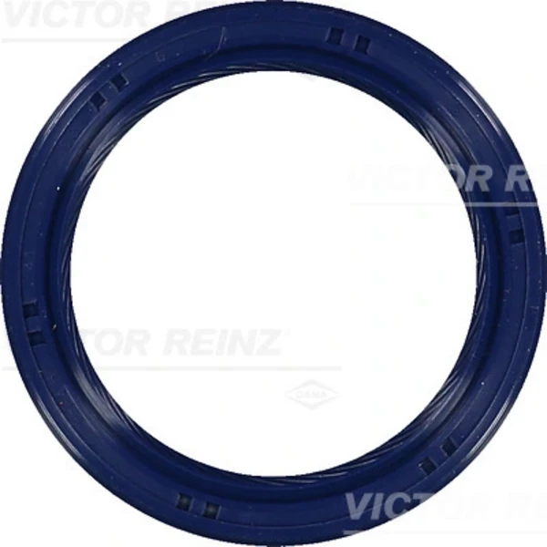 815369900 Victor Reinz