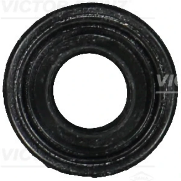 713169400 Victor Reinz