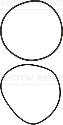 Vedante anular para a camisa de motor 157355601 Victor Reinz