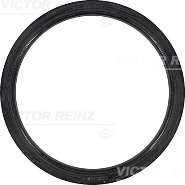 813380100 Victor Reinz