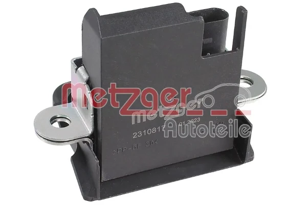 2310817 Metzger