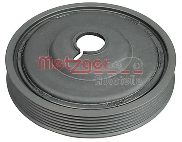 6400018 Metzger