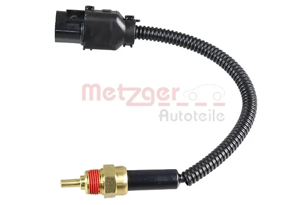 0905253 Metzger