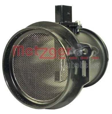 0890303 Metzger