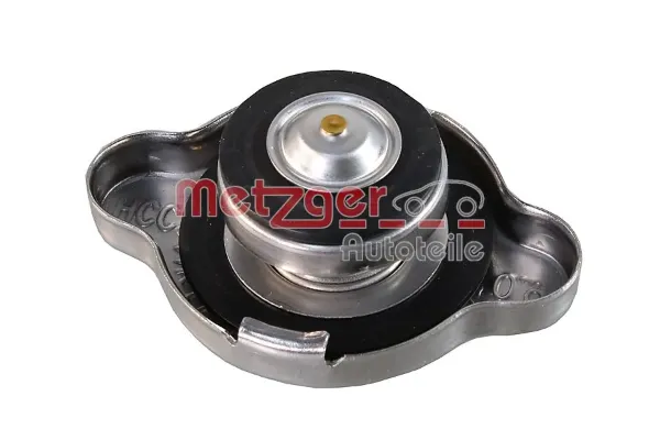 2141038 Metzger