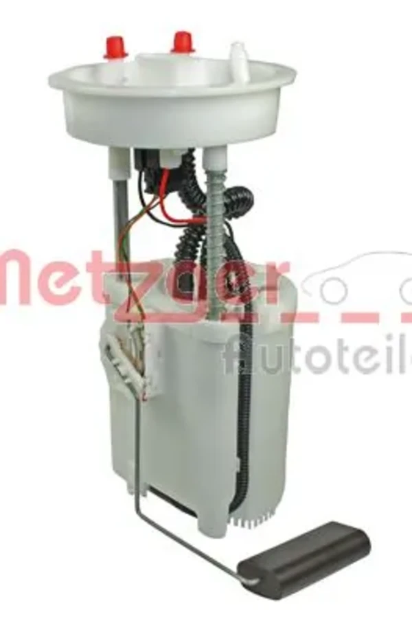 2250079 Metzger