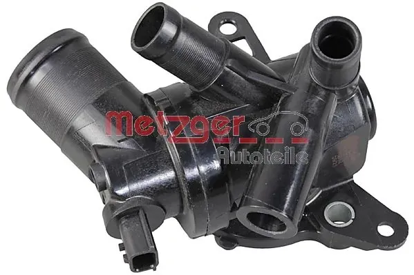 Termostato 110617250R Renault (RVI)