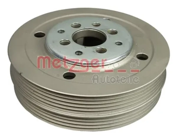 6400079 Metzger