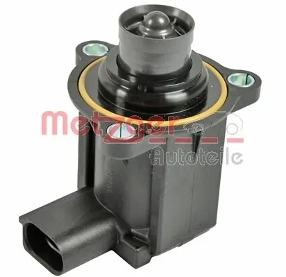 0892306 Metzger
