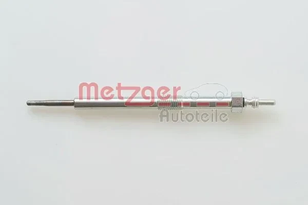 H5021 Metzger