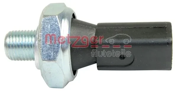 0910096 Metzger