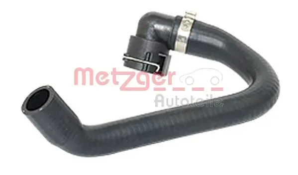 2420181 Metzger