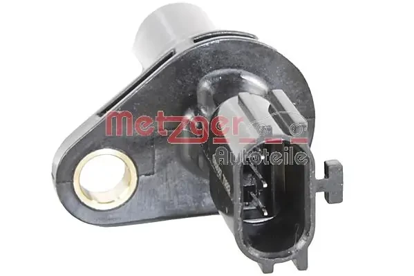 0909087 Metzger