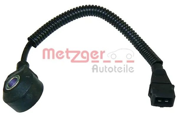 0907077 Metzger