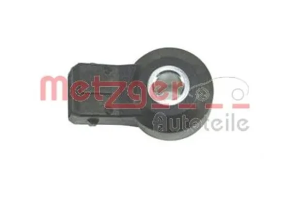 0907091 Metzger