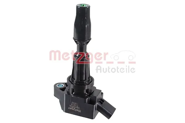 0880498 Metzger