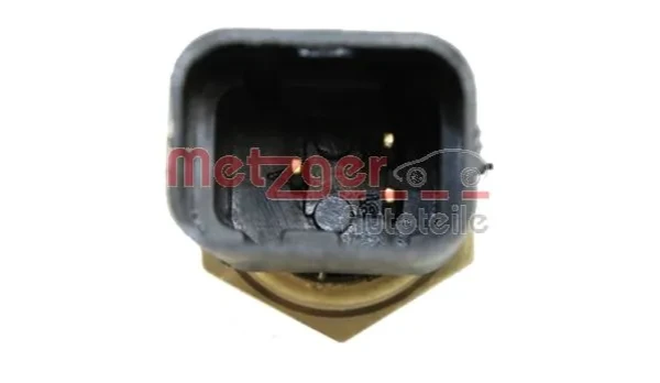 0905102 Metzger