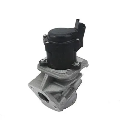 Válvula EGR de recirculação dos gases 571822112029 Magneti Marelli