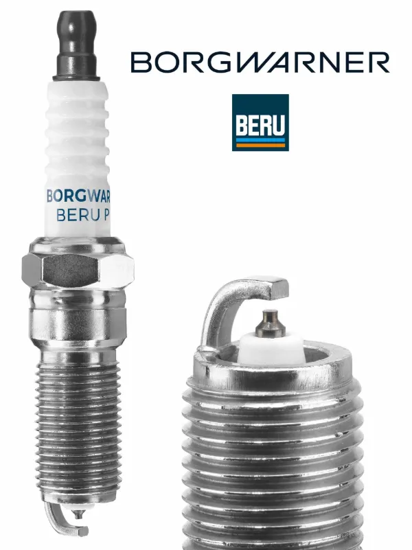  Z517 Beru