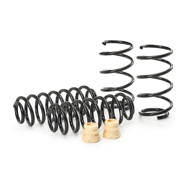Kit de molas de suspensão para automóvel E10790100422 Eibach