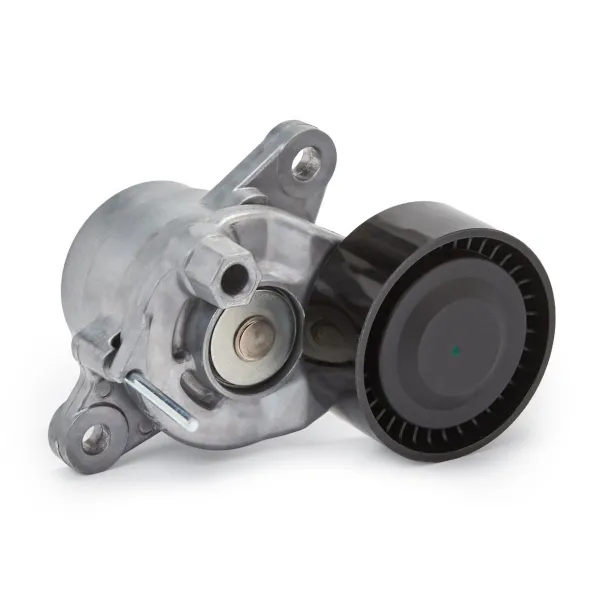 Correia dos conjuntos de transmissão, kit VKMA33350 SKF