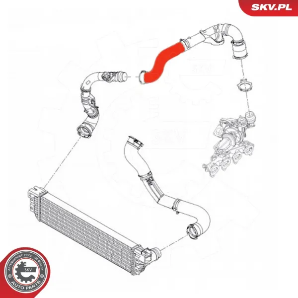 Cano derivado de ar, saída de turbina (supercompressão) 1688324980 Peugeot/Citroen